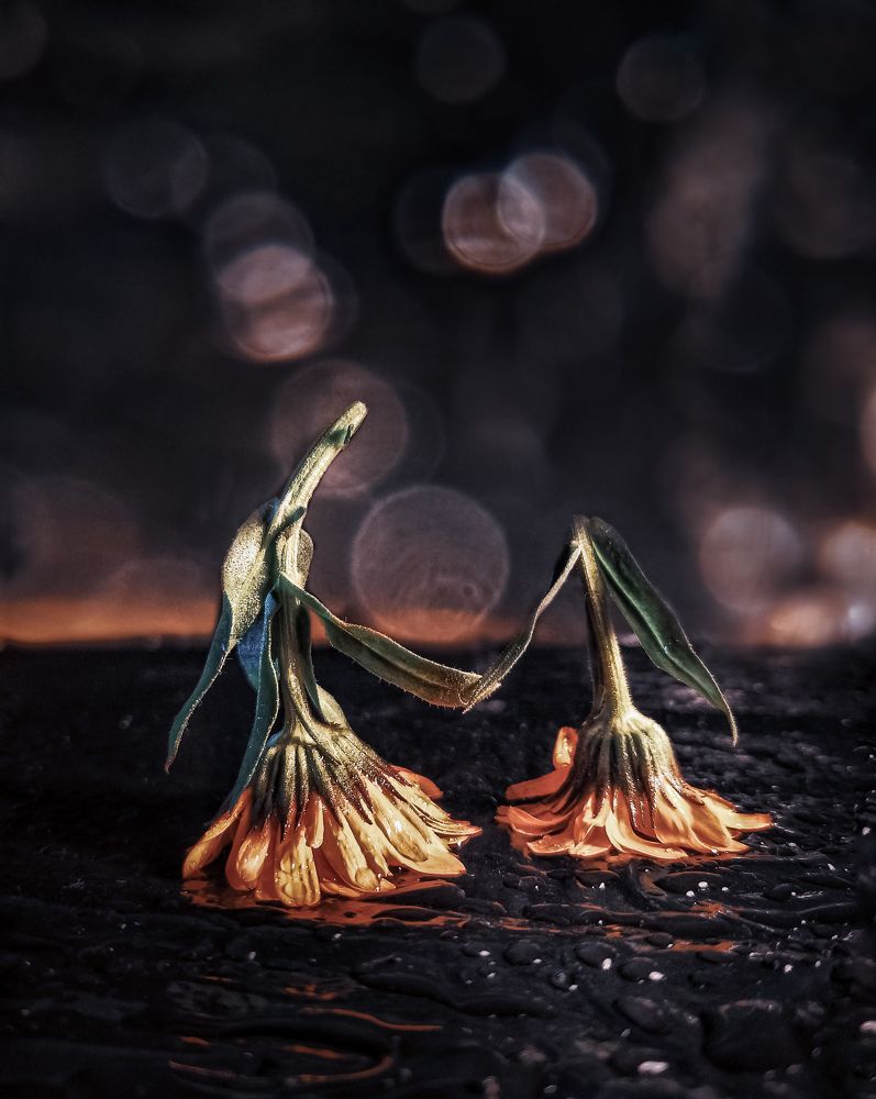 Осеннее танго...