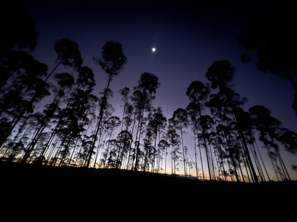 Photograph by Fernanda Silva