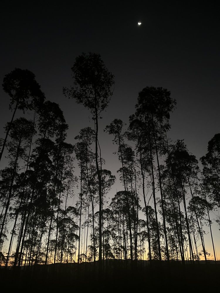 Photograph by Fernanda Silva