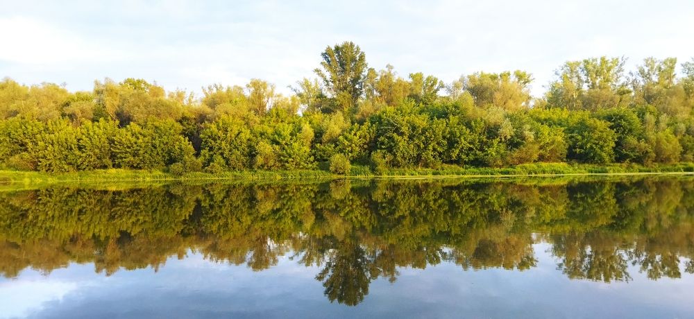 Фотография автора Веста Ягужинская