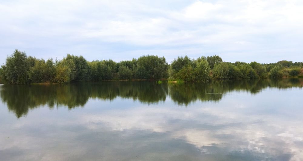 Фотография автора Веста Ягужинская