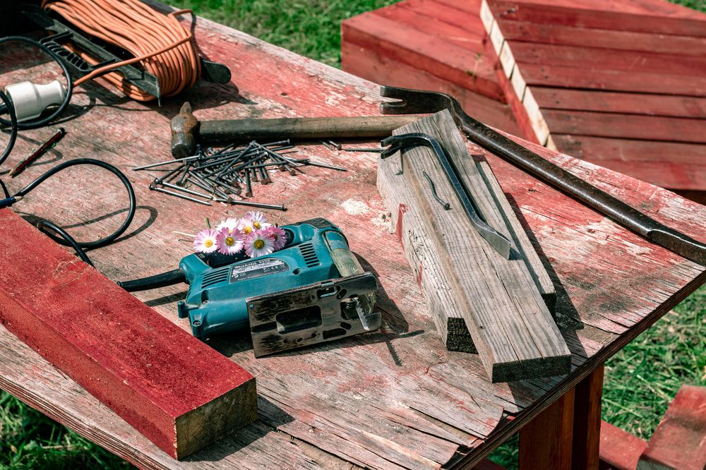 Photograph by Сергей Аникушин