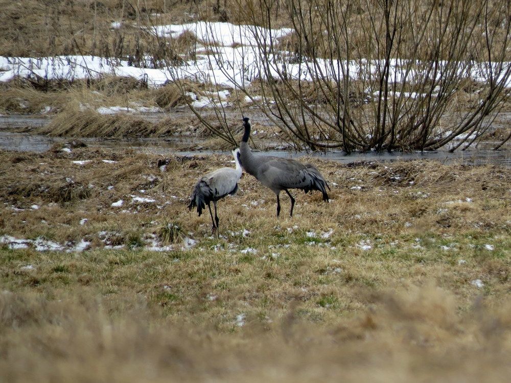 Photograph by Екатерина Филина