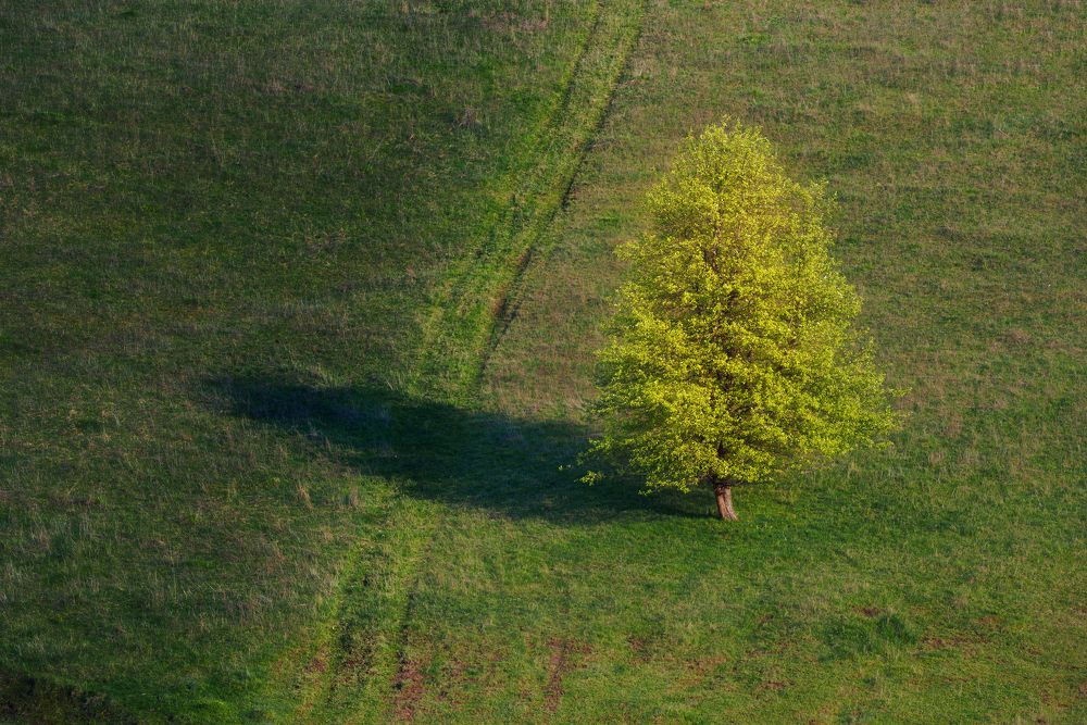 Photograph by Павел Абакумов