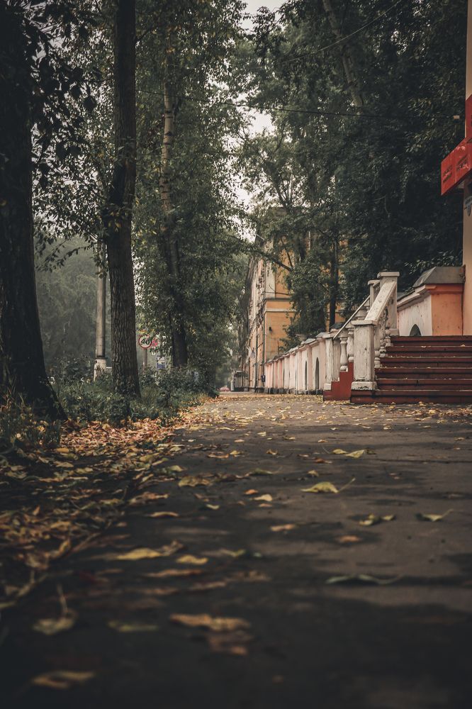 Photograph by Алексей Аверин