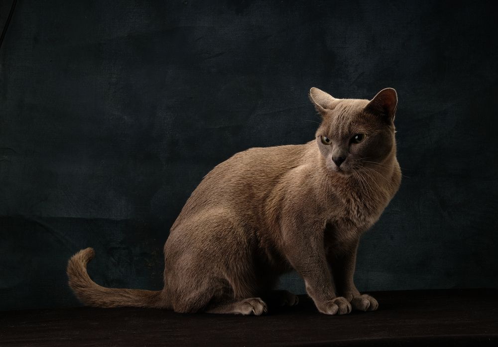 Photograph by Наталья Аникиева