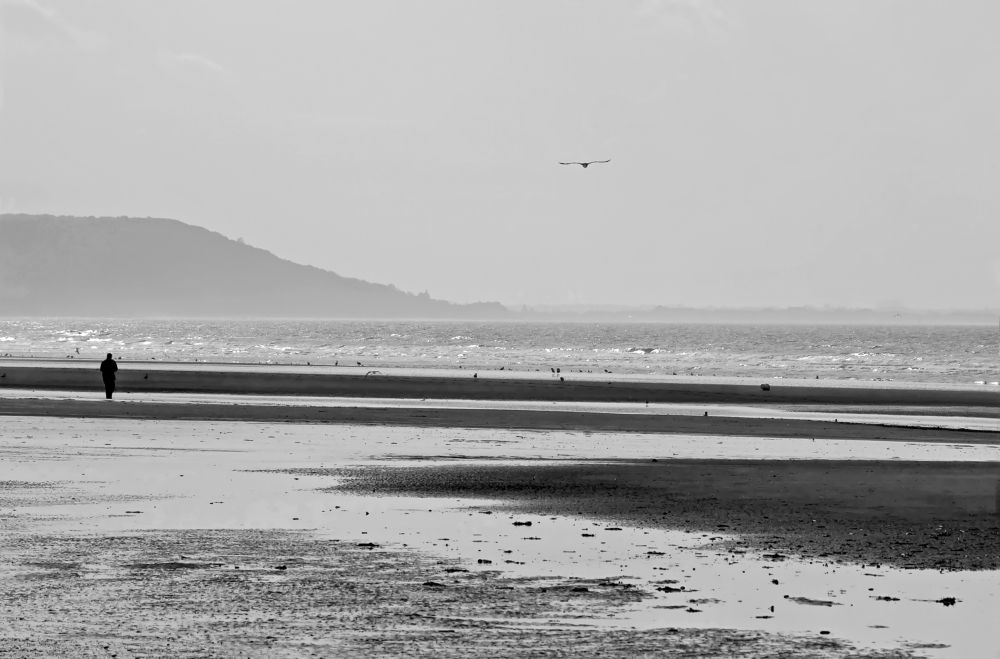 Photograph by Михаил Малец