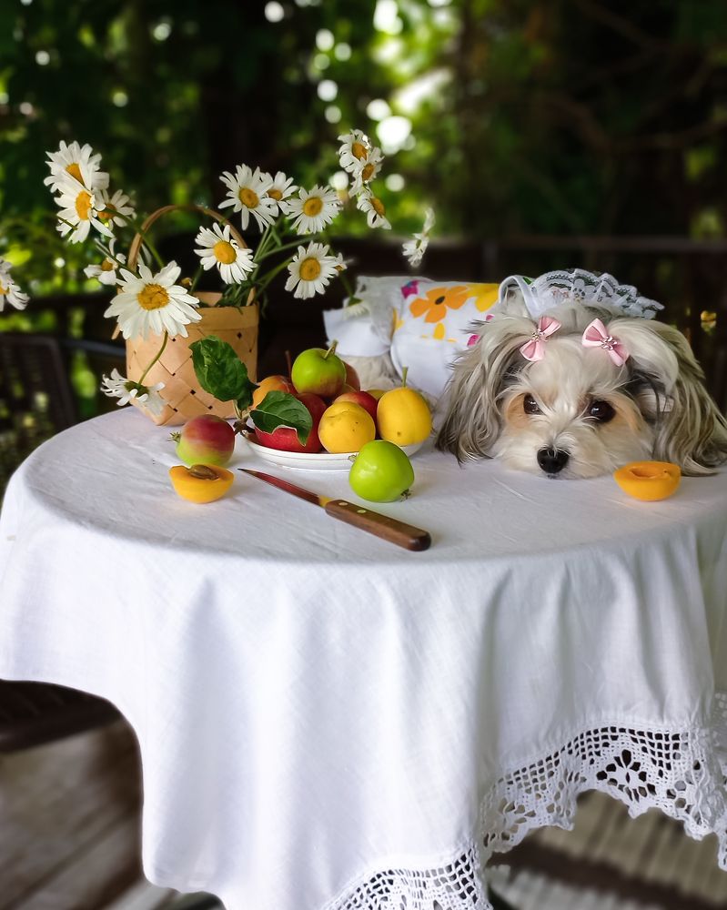 Photograph by Люда Яковлева