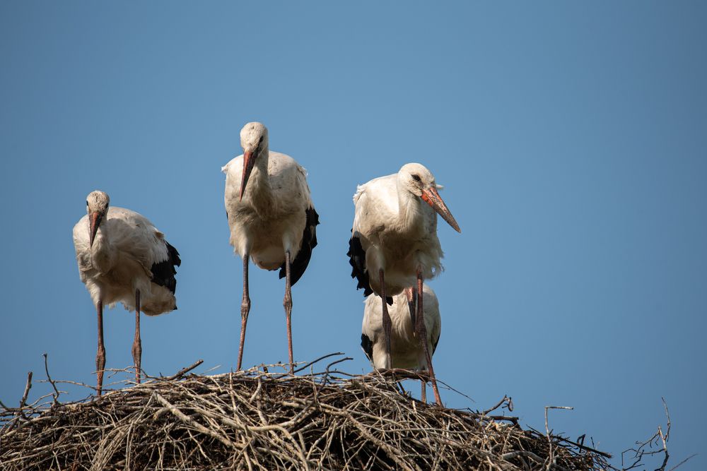 Photograph by наталья залогина