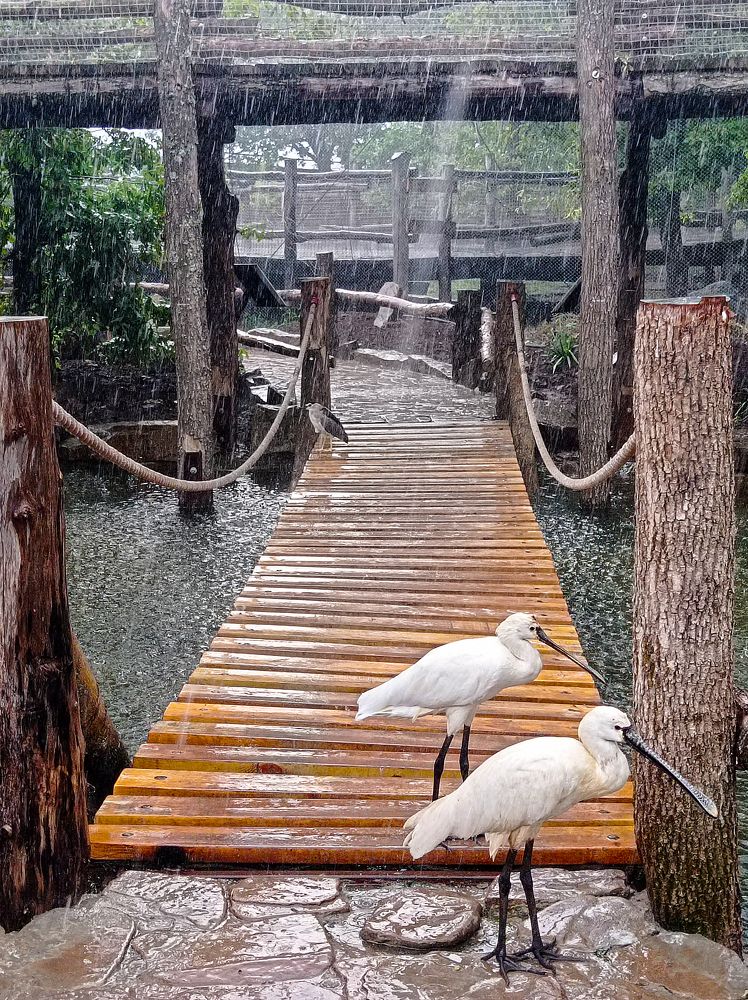 Photograph by Ольга Бакурская