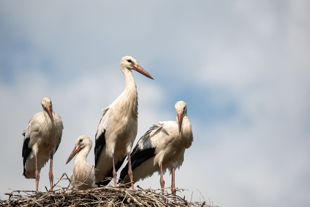Photograph by наталья залогина