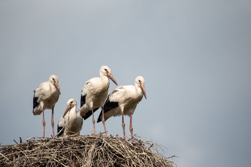 Photograph by наталья залогина