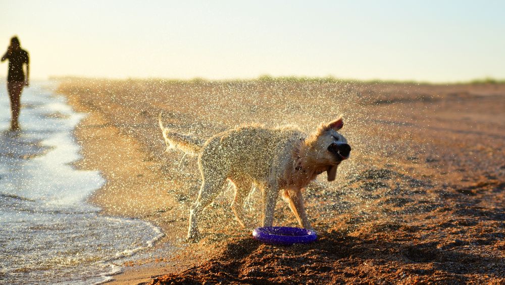 Photograph by наталья залогина