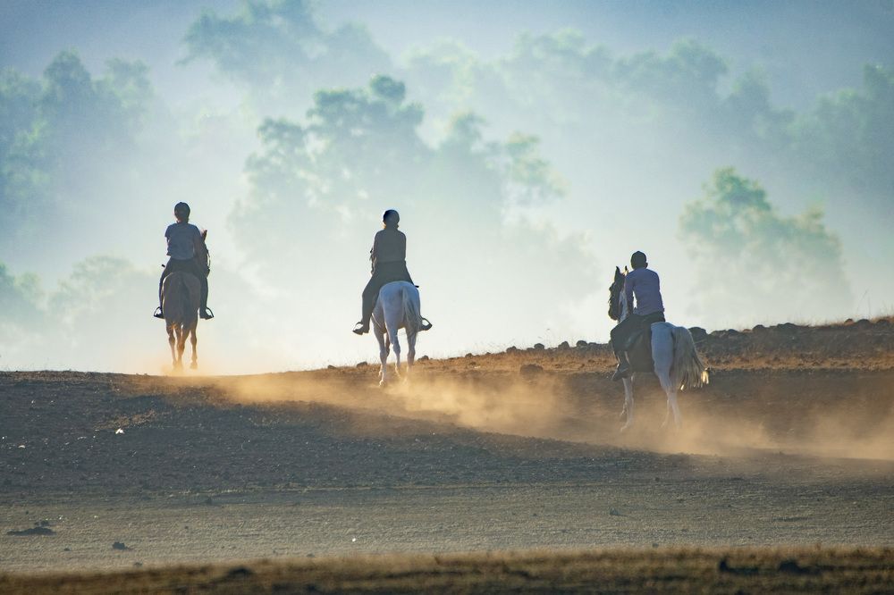 Photograph by Ashish Patil