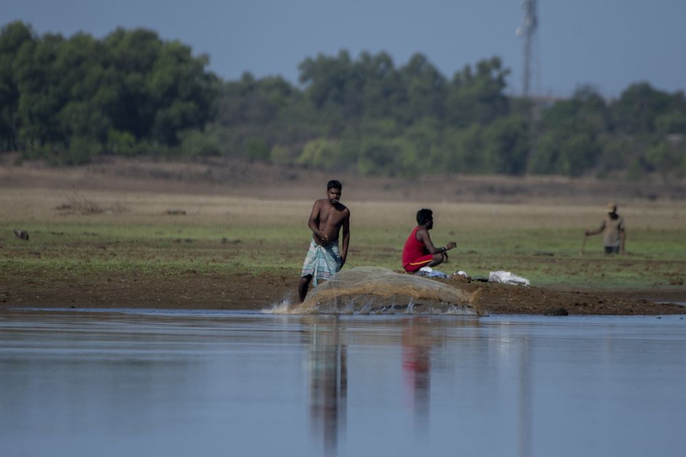 Photograph by Ashish Patil