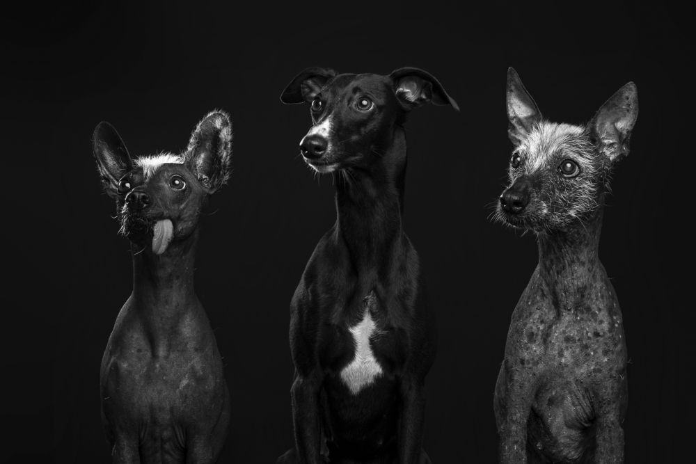 Photograph by наталья залогина