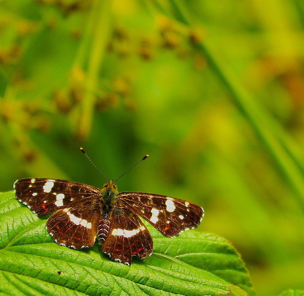 Photograph by Вячеслав Савицкий