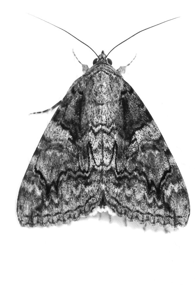 Фотография автора Ola La