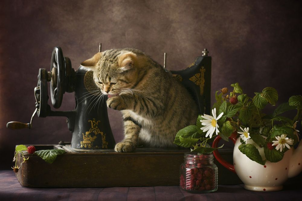 Photograph by Ирина Ефимова