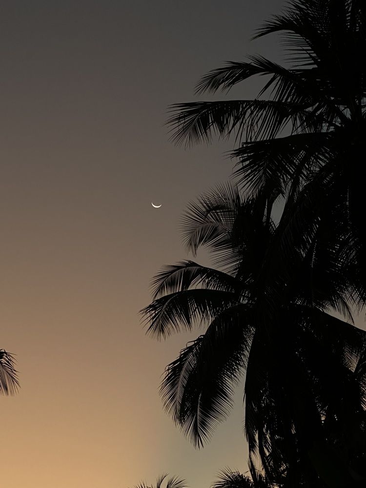 Photograph by Стефания