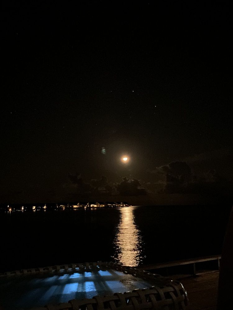 Moonlight