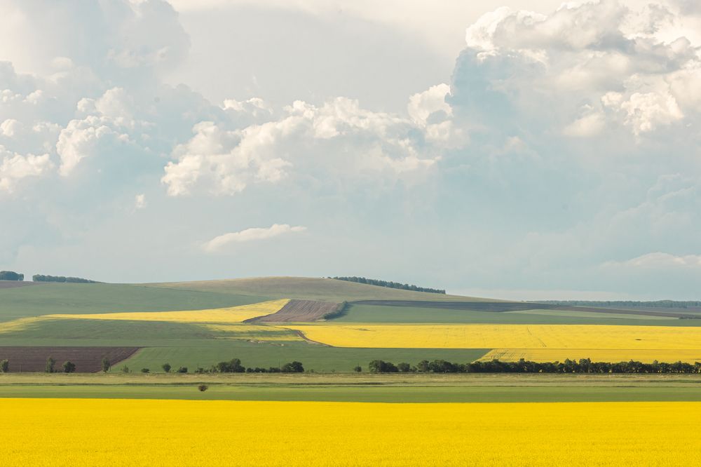 Photograph by Корчагина Оксана