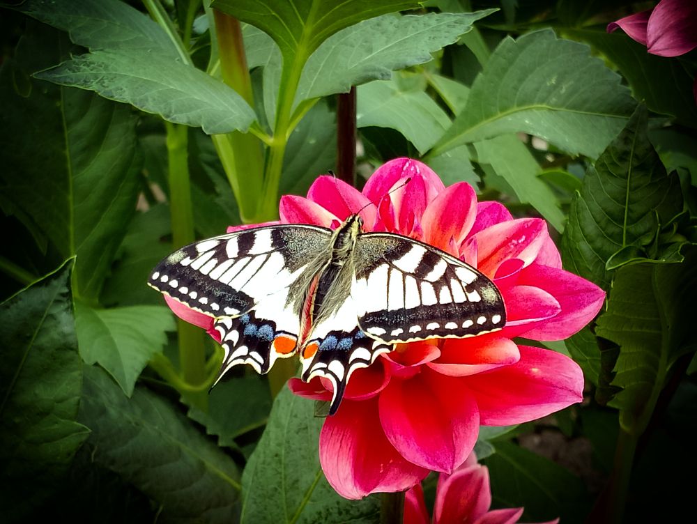 Фотография автора Юлия Кранина