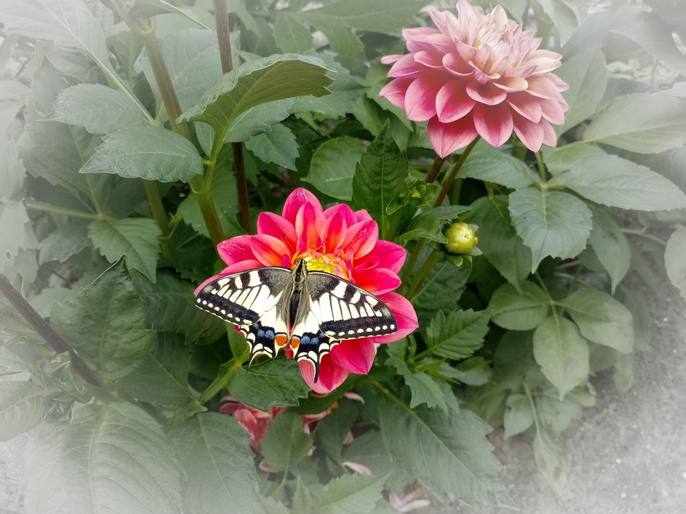 Фотография автора Юлия Кранина