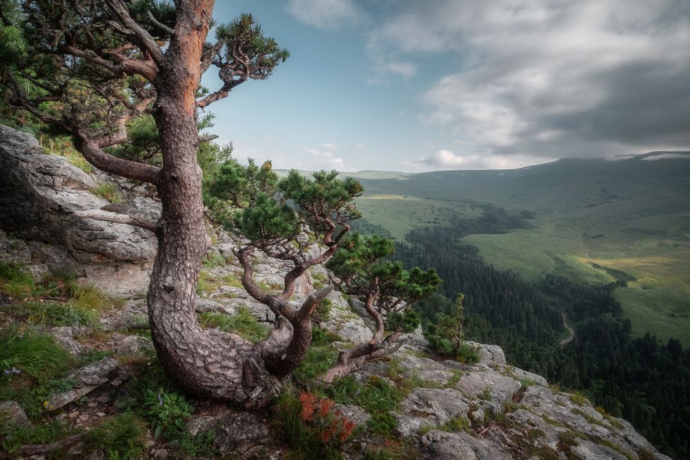 Фотография автора Константин Яковлев