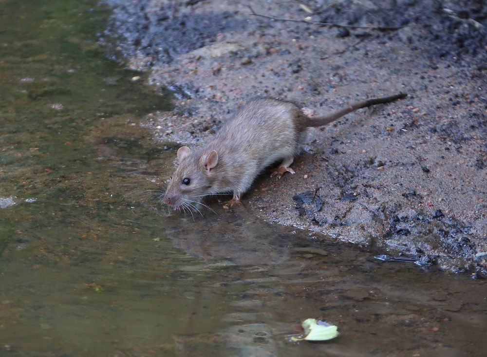 Photograph by Станислав Вершинин