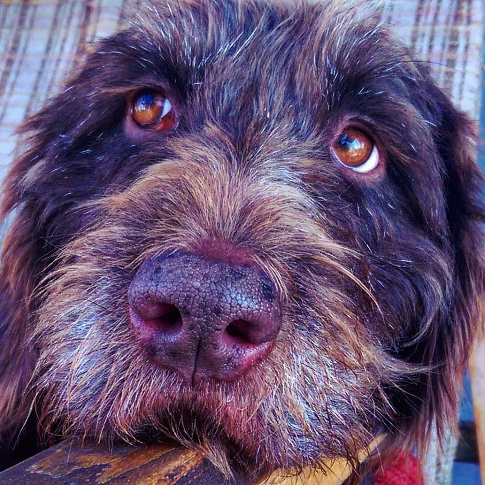 Photograph by Дмитрий Соколов