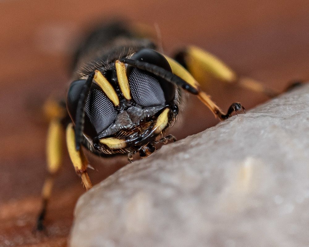 Photograph by Наталья