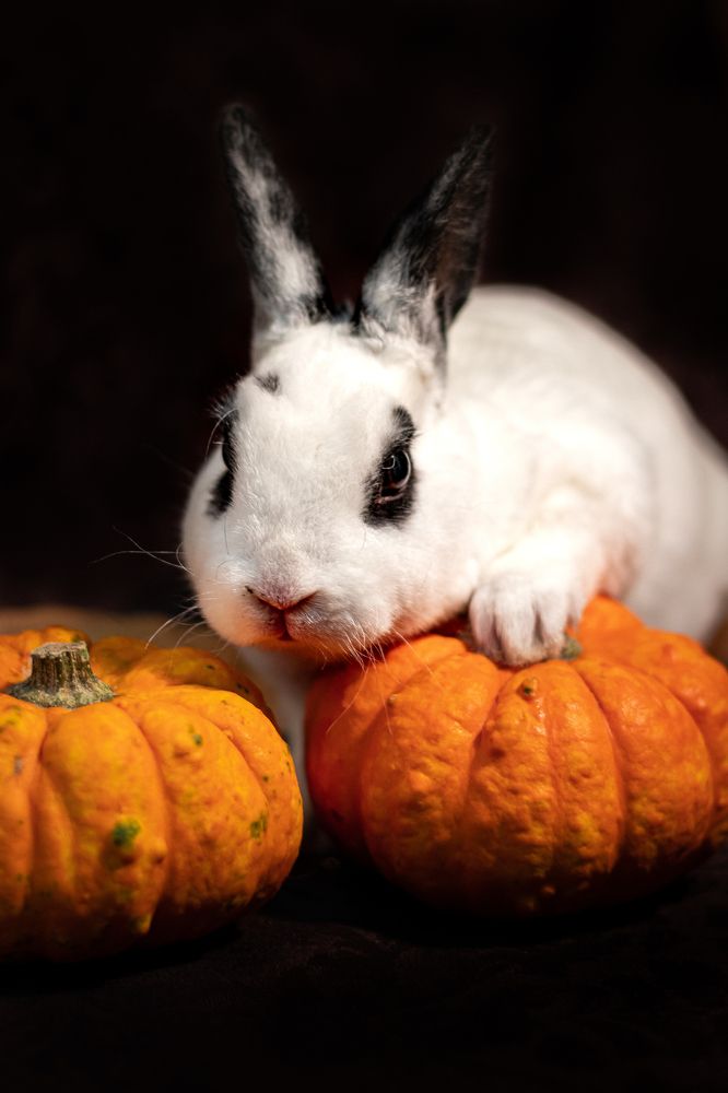 Photograph by Анастасия Лученок