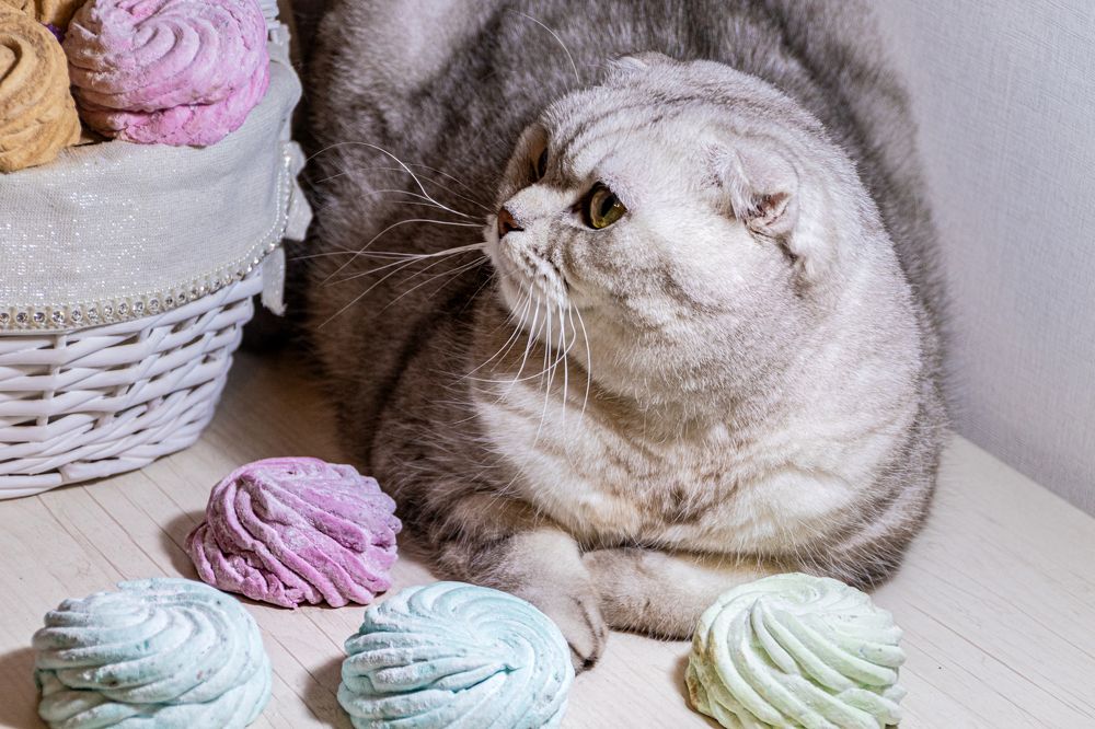 Photograph by Анастасия Лученок