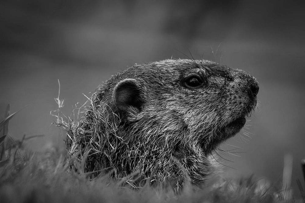 Photograph by Madelyn Stencel