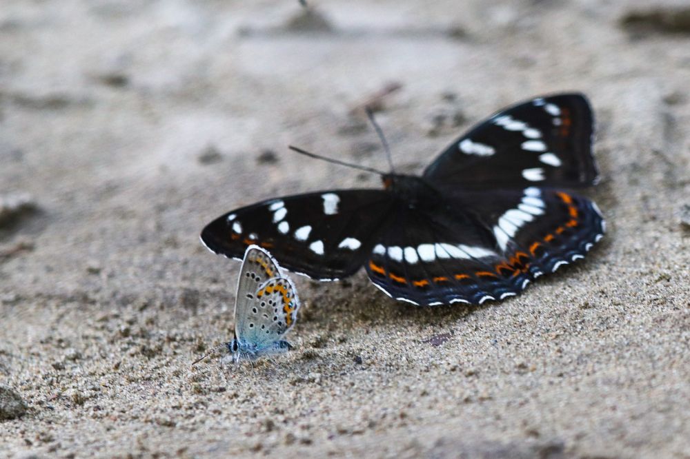 Photograph by Наталья Трифуз