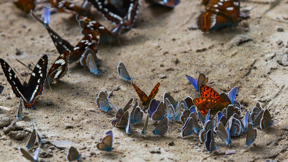 Photograph by Наталья Трифуз