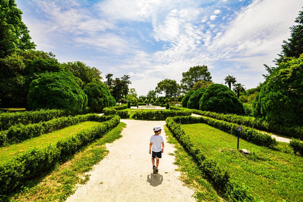 Photograph by Артём Александрович