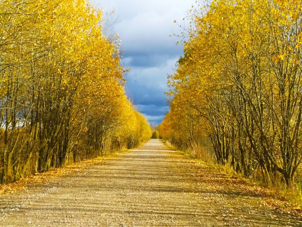 Photograph by Olga Kot