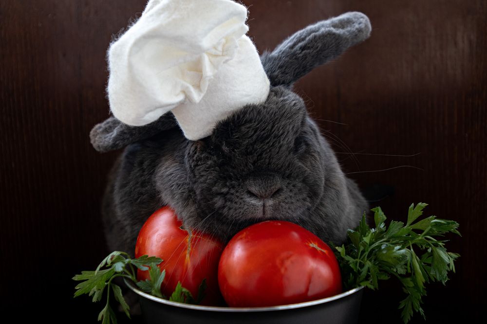 Photograph by Elena Papadopoulou