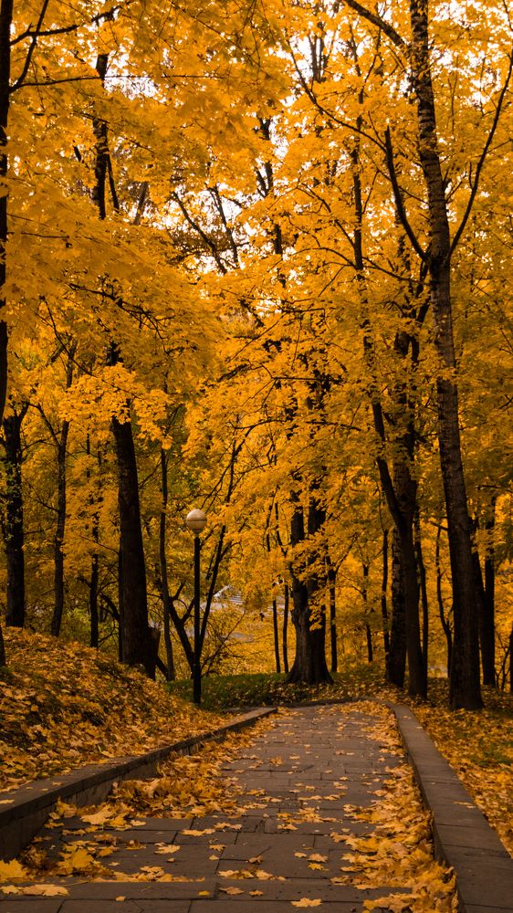 Photograph by Анастасия Лученок