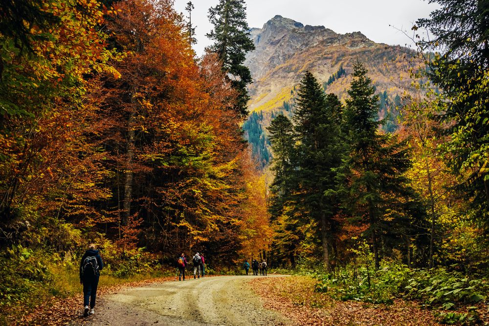 Photograph by Игорь Сидун