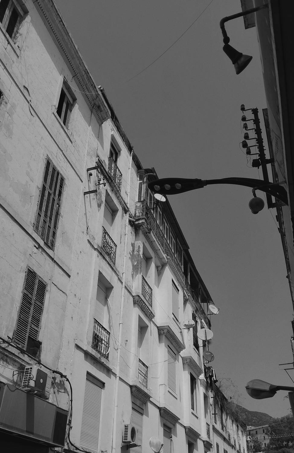 Photo #9349838