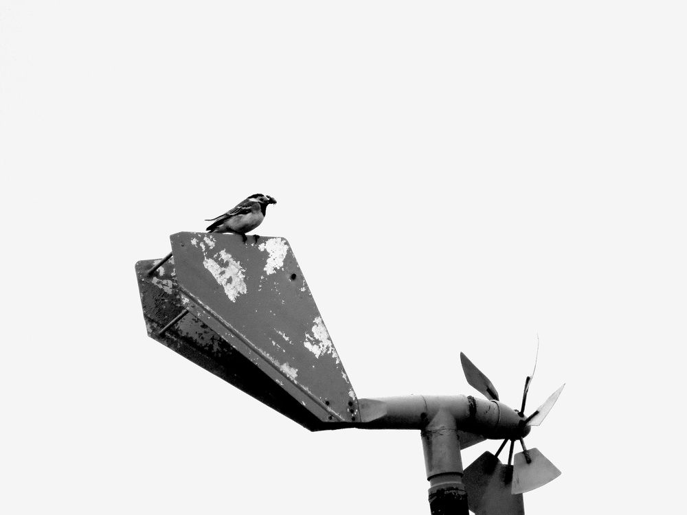 Photograph by Екатерина Филина