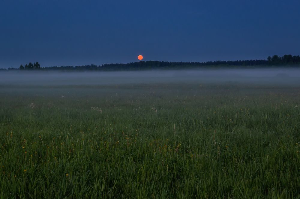 Фотография автора Александр Пашеничев