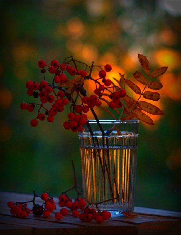 Vyacheslav  Aksyonenko, Russia