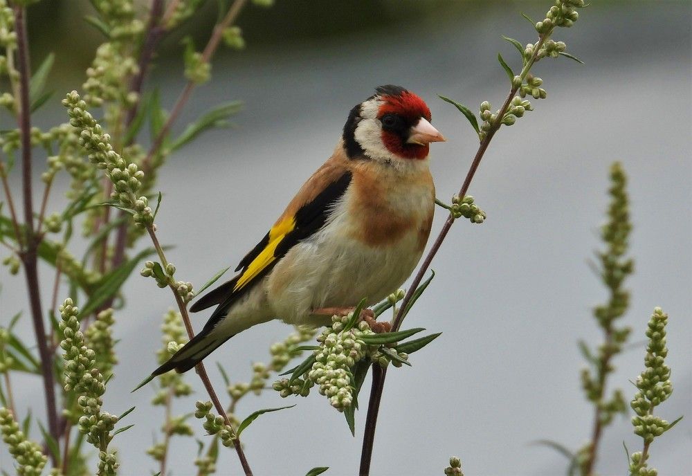 Photograph by Владимир Джерихов