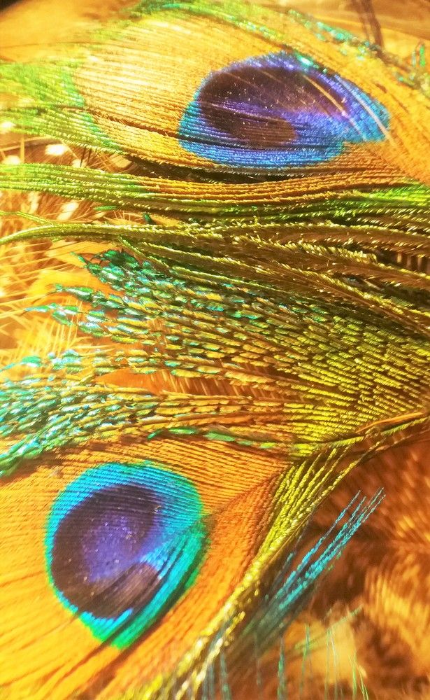 Фотография автора Ася Бабушкина