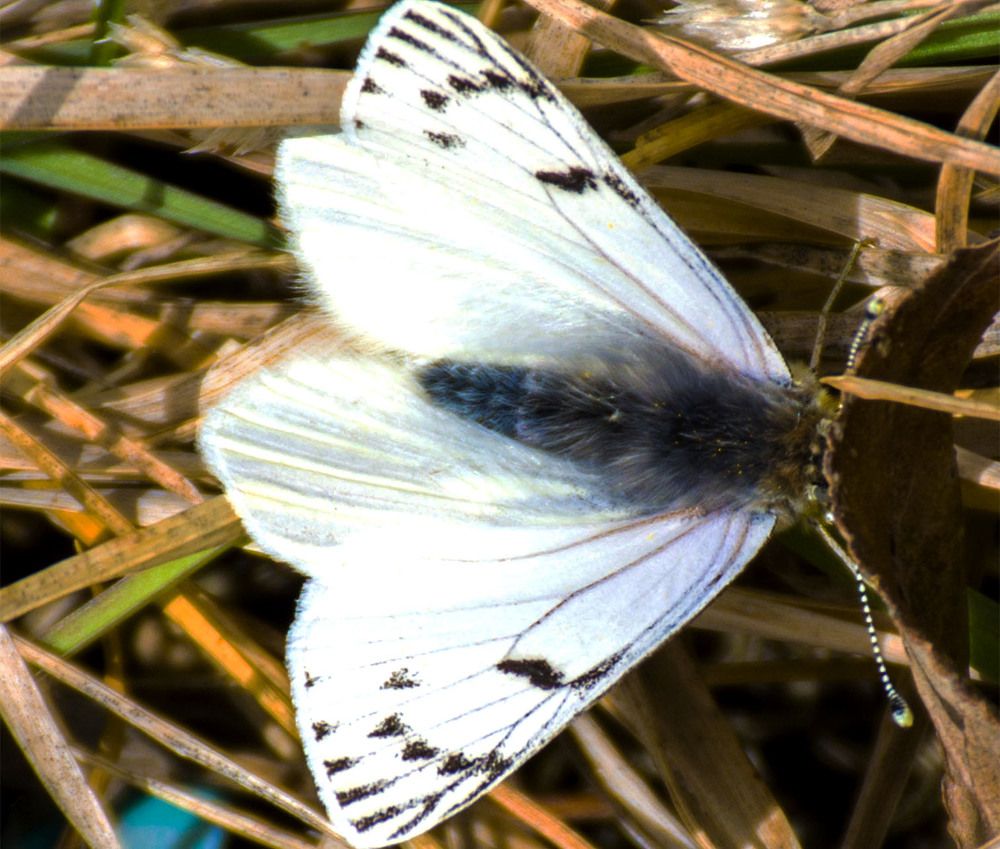 Photograph by Gabriel Cabott