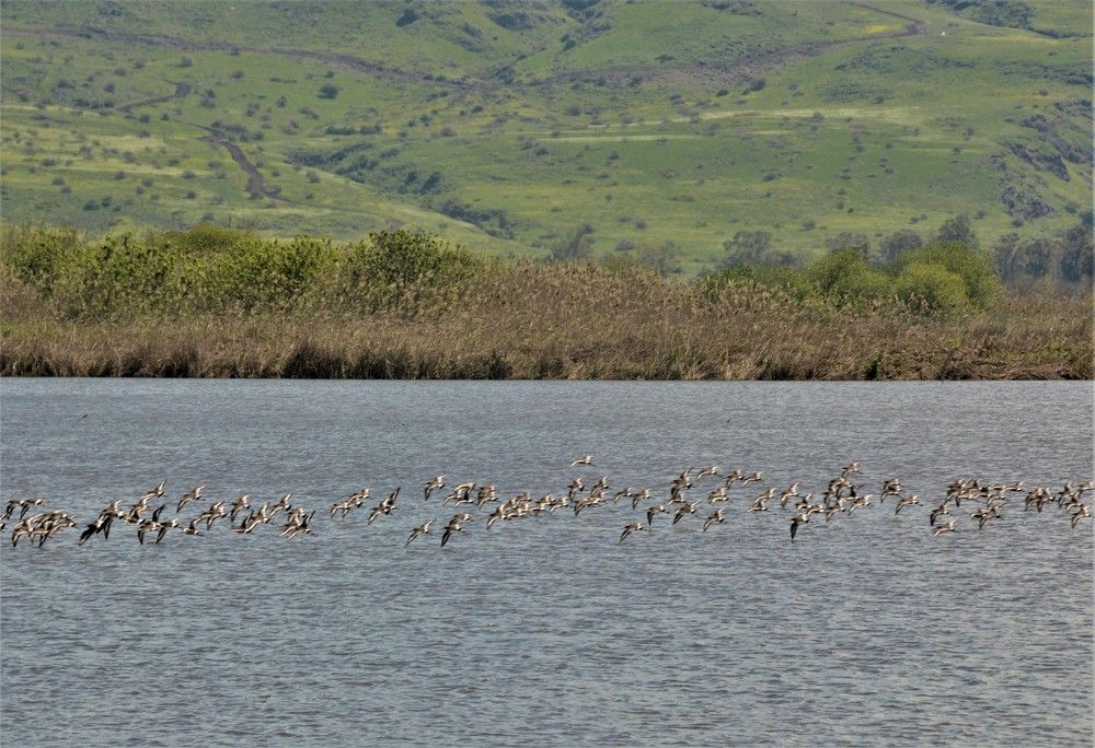 Photograph by Ася Бабушкина